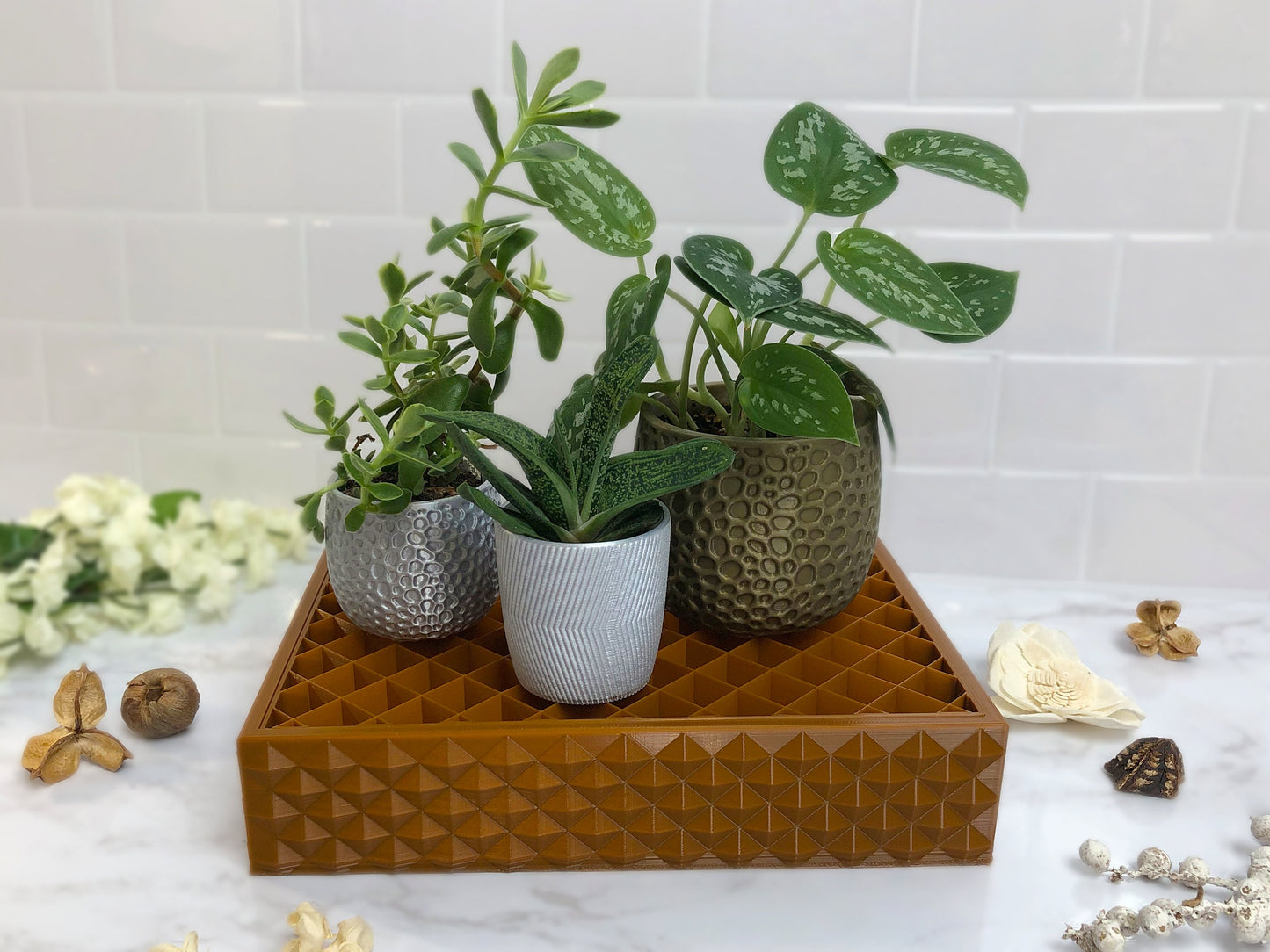 Humidity Tray