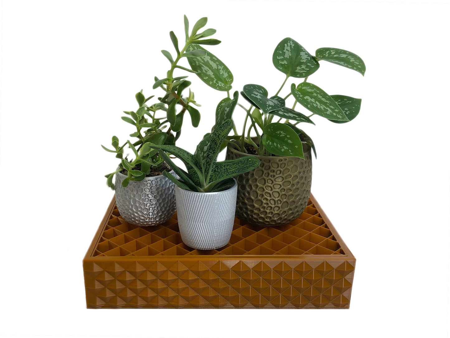 Humidity Tray