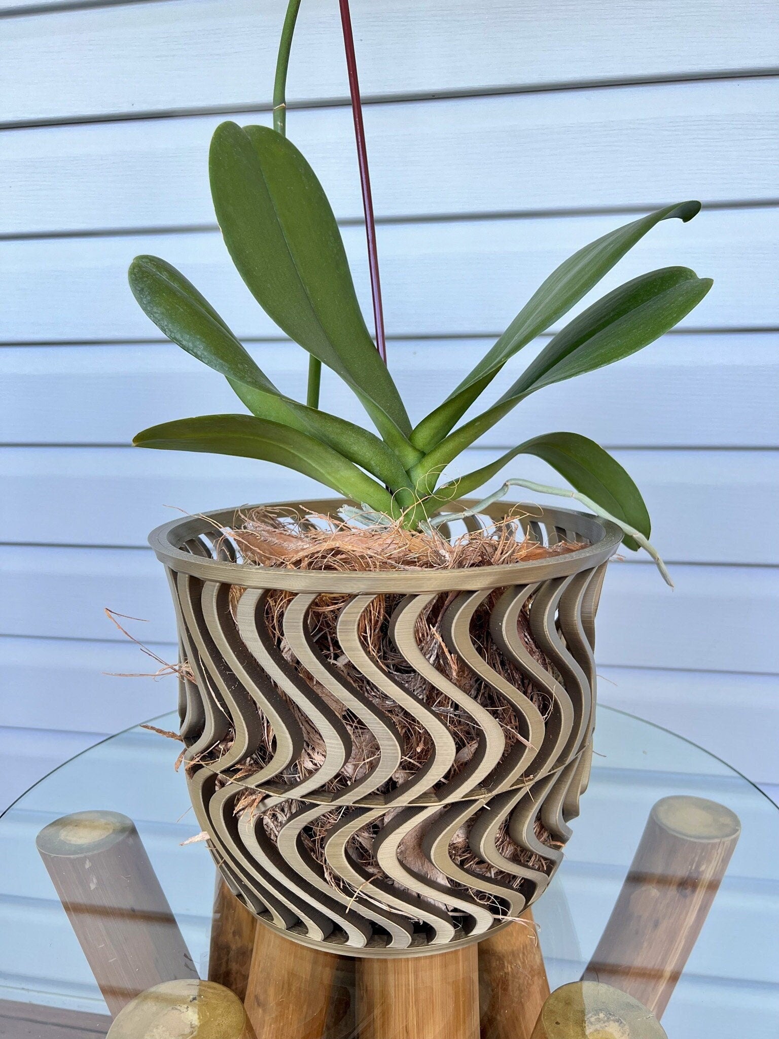 Wide Groovy Orchid Pot