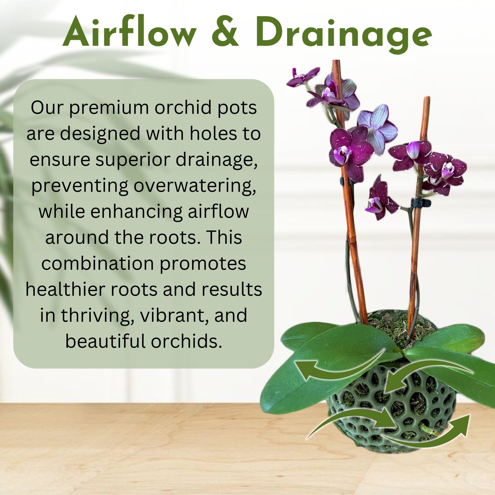 Mesh Wall Orb Orchid Pot – Orchify