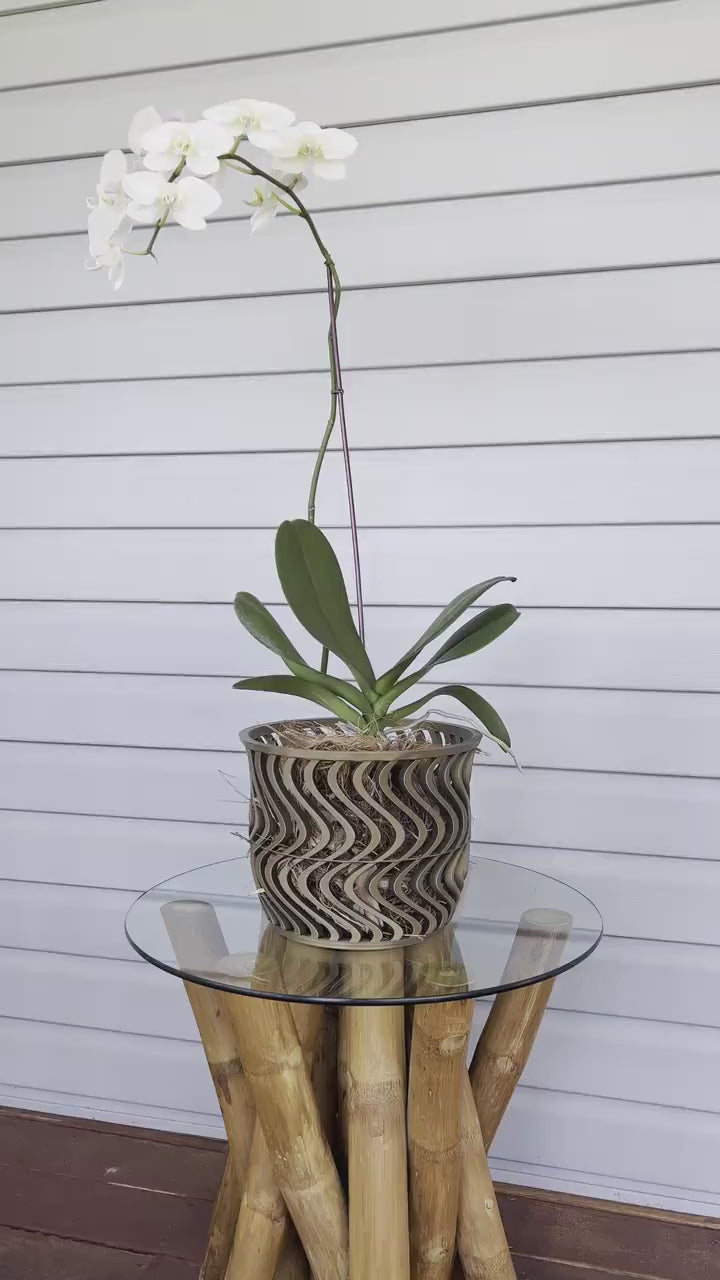 Wide Groovy Orchid Pot